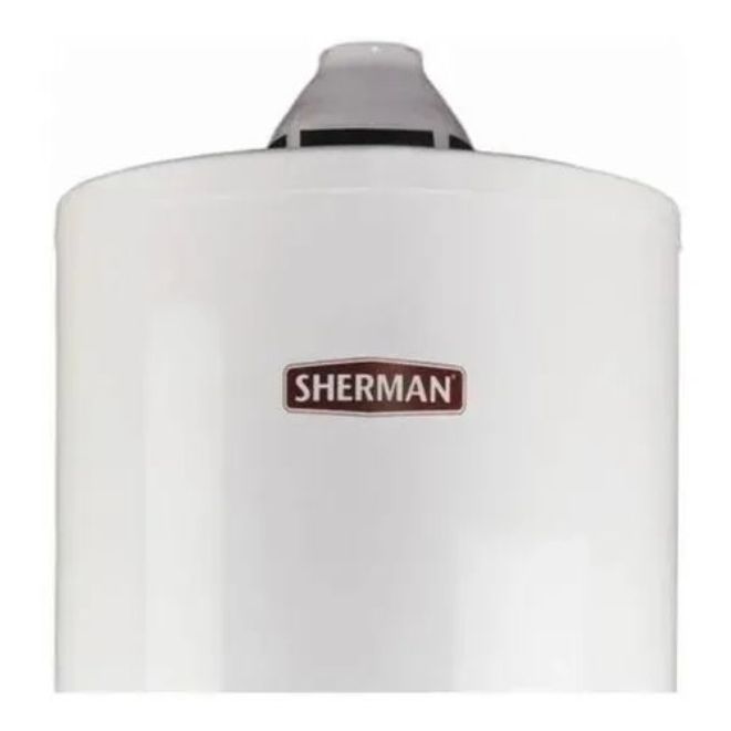 TERMO SHERMAN 50L.PIE 5 A¡OS GTIA RHEEM
