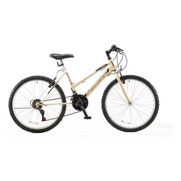 BICICLETA FUTURA 5304 R29 MTB 21V ACERO DAMA F.V-B