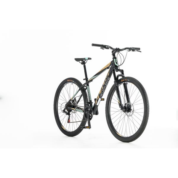 BICICLETA FUTURA 5189 CHEETAH R29 MTB 21V ACERO F.DISCO