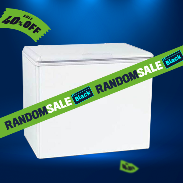 FREEZER NEBA F310 305LTS